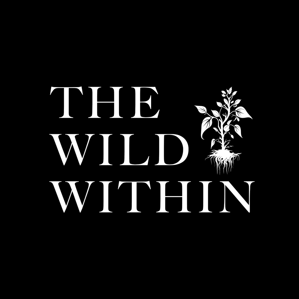 inscription 0ed7f3f8deb0298184133dbc9a525aefb4a9b4b28b514576f8638395c3d46c18i0