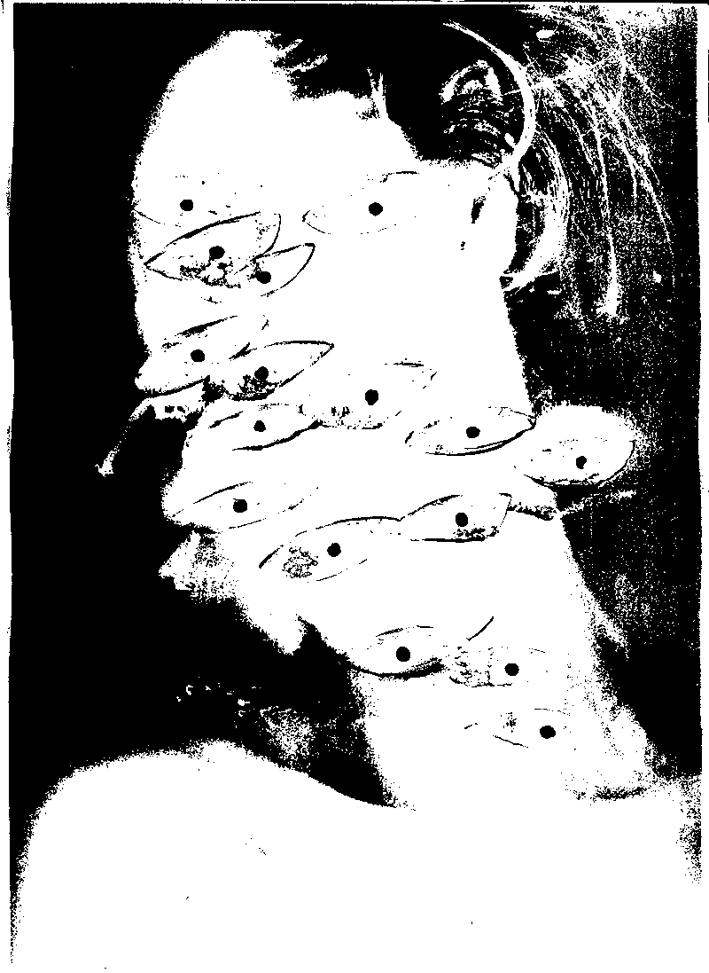 inscription 159d122dc7fd8811f2a5c3aaac759a67ffcf2edaca5de84b922c610e0621155ci1