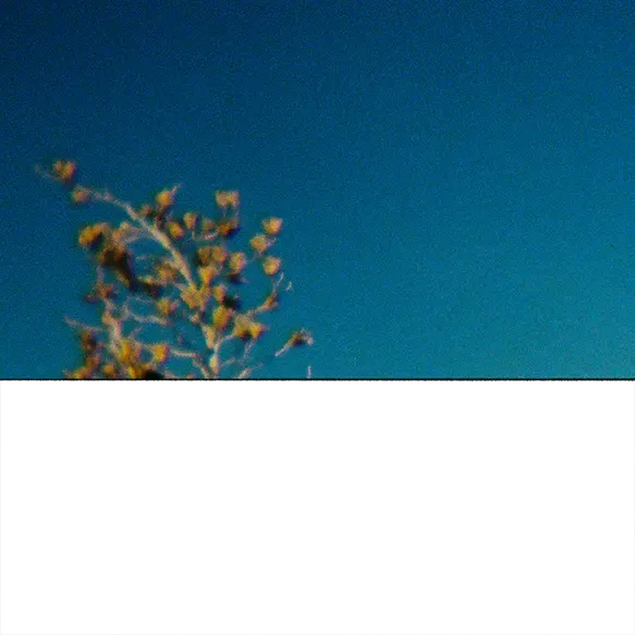 inscription 1a412fd897f2dad94386af34d3178d4dcf931fa8467720e2897cdf8da4ac06f1i13