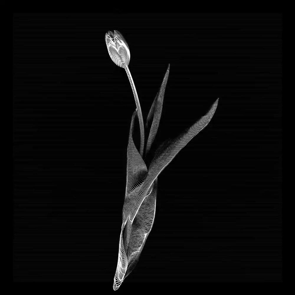 inscription 1cd429d8e378de53d5e7ab22f5359658a91e87ceeb60b2ad1fb28bcab91b8e3bi3