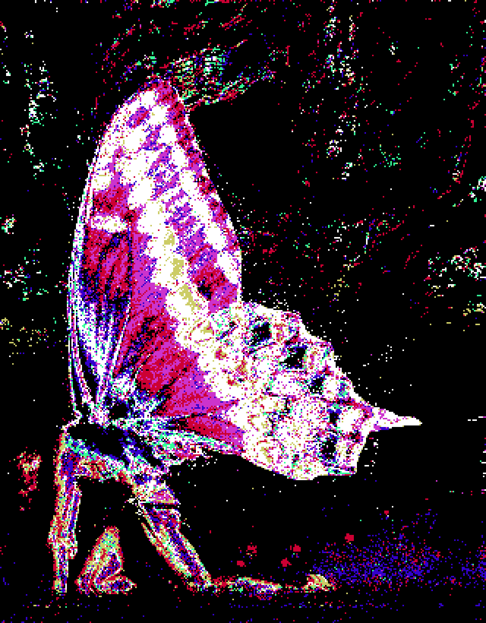 inscription 3214e9a6b60fb95c447325abec681a4757db6f8293f6a733990081fbfa915694i0