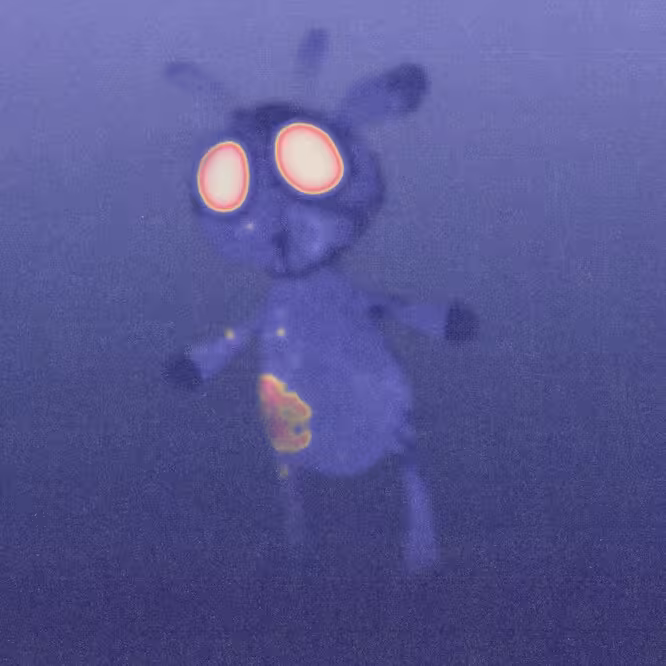 inscription 46e214132acb7b0b7e9048f718045acfd67b9da0a655000b41bc94394f788031i0