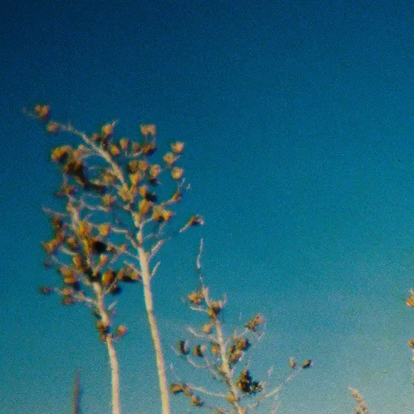 inscription 52dee2d7a1dfb7de1d26a8966a1897fc3651cc0e021a530dd1d207e9558bec80i1