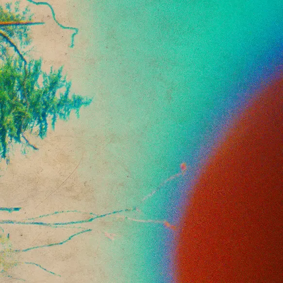 inscription 52dee2d7a1dfb7de1d26a8966a1897fc3651cc0e021a530dd1d207e9558bec80i3