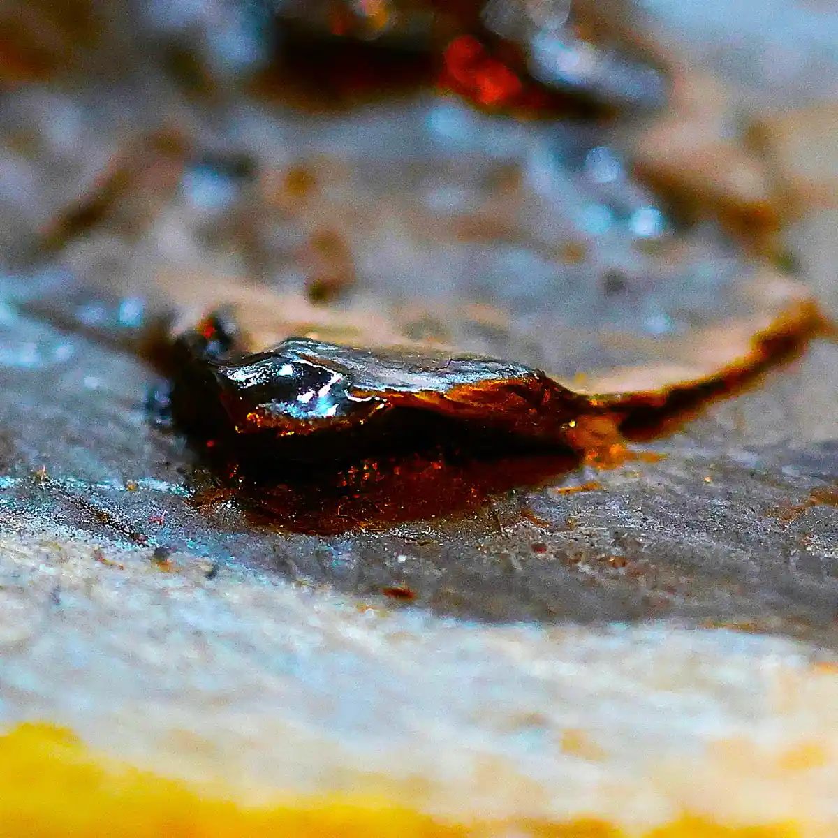 inscription 6b71ecd607a1051a9b5f6f705d5af8fb6dad922227775074475dadbfaa5b7341i0