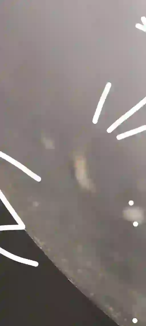 inscription 7ed50fae7b428590d6dedcf5a1323715ed8331b29b6b9d7bdbcee797959768a6i0