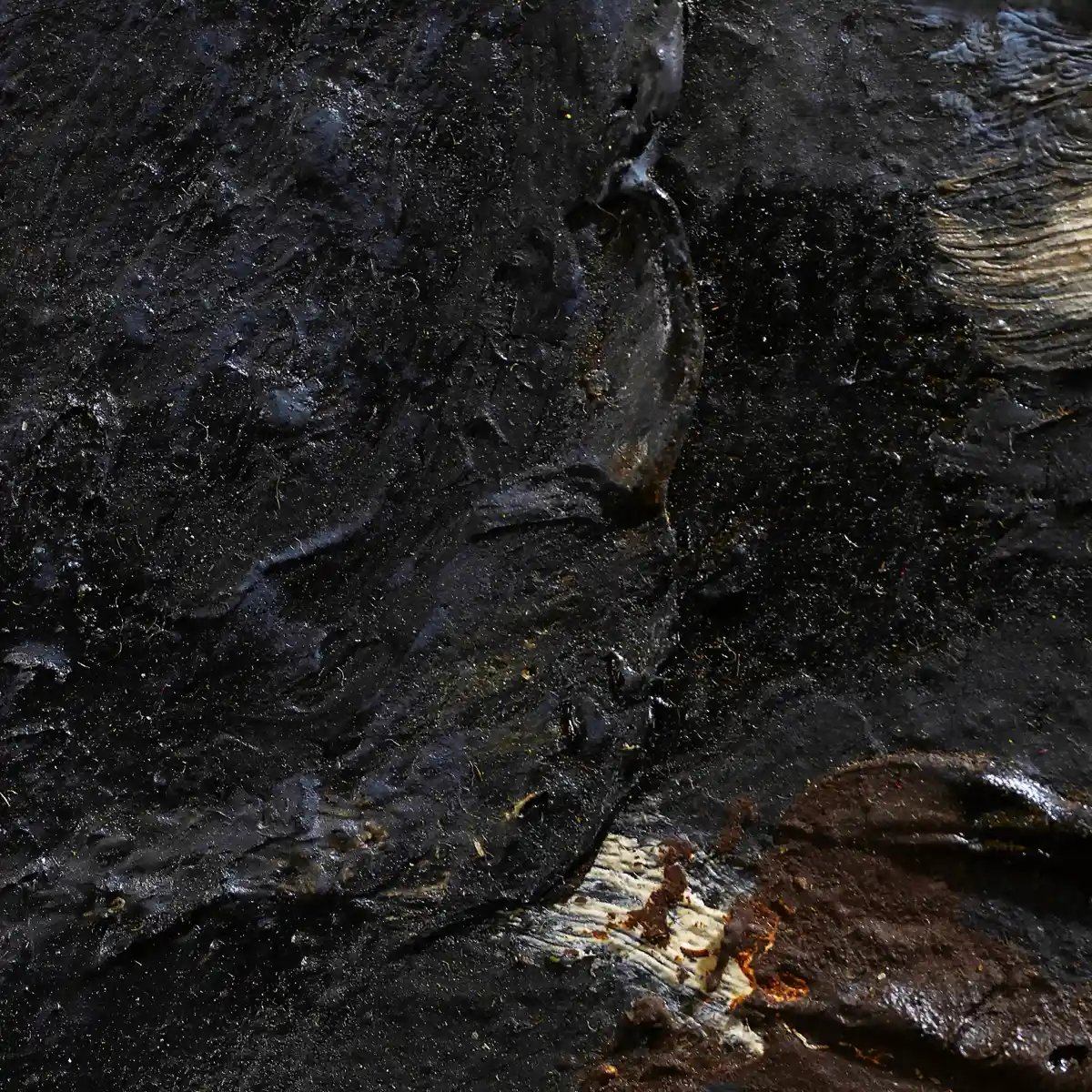 inscription 8136aee171c7ba4d10bcbc4017a316387c08b7d100c33e53e71db9c83af46ac9i0