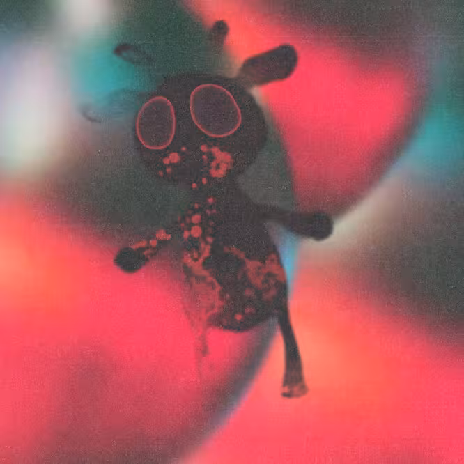 inscription 872ecc969865a34cbfae16d52cd19c5102f6a0e8120bdb70232d2cf40a0d80adi0