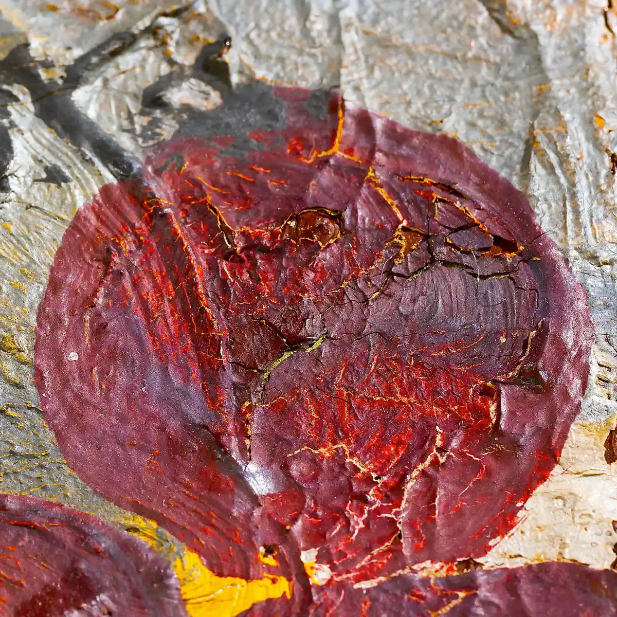 inscription 8cfe61d7069f3bfd180a10c40f98ce71e8ee017835da2700212d4853344352b2i0