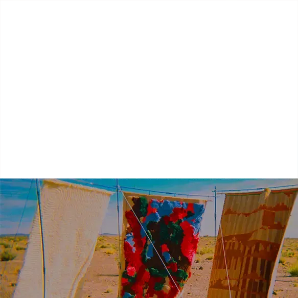 inscription 96a0b9e10517cdfb46dd1bd794bd80be4d0e6e4c700f6c7dda4a5b56a79d9b2ai5