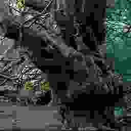 inscription 96d579426f69e64f29a9fb11ea07eeeac79938c33bdae55f4d5b4a8c0a469373i0