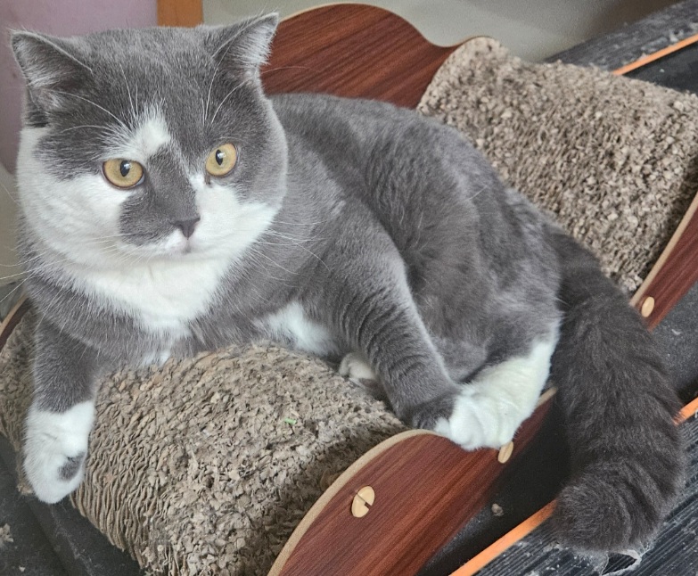 inscription 9df620346cd3a9eb1d189feb6f3015e73df8e711d3cc0eeee0fddf62a9e20d08i0