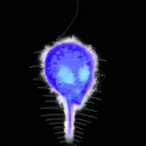 inscription a5e3c8f1c4f96b783311427797492b846a5b2b1e7ab3e0437aa14165170f07b4i16