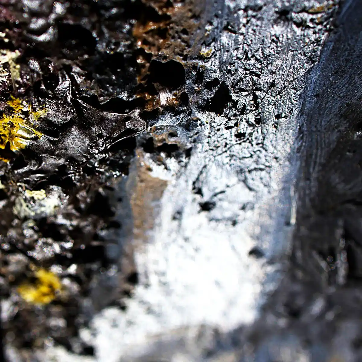 inscription aa5442ab9c3d64998973d540b4bdd8b38bbeb49aa105c0f29738b215d4835ddai1