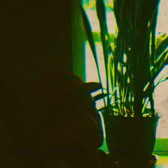 inscription b6168982af5fc0ef782e0cd8df16daba10dd4815a8cc7a9bf3891301713d40eci6