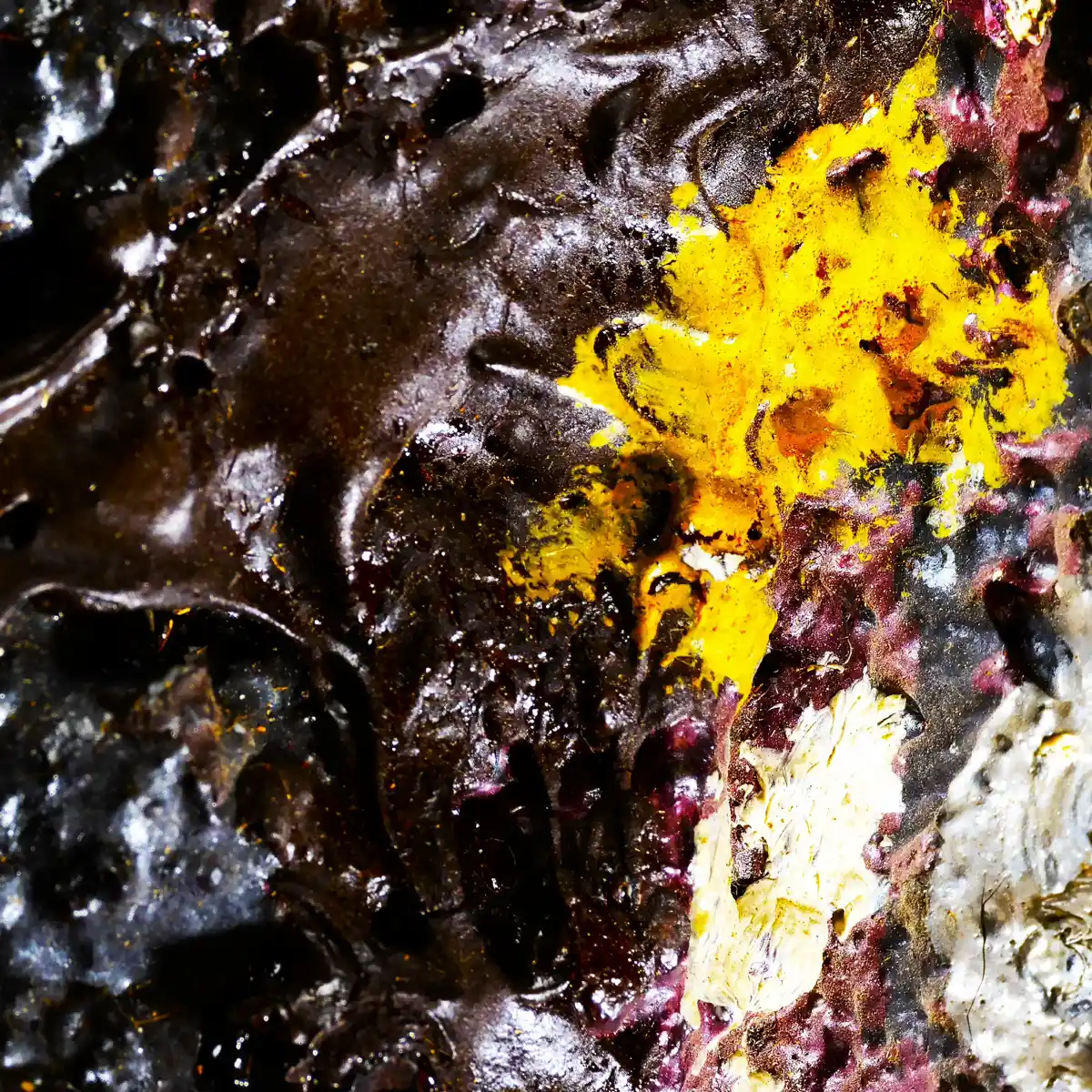 inscription ca5d7eb48fa843f19536489e991735226f190aea60c3c304cd465cb7d6a81f3bi0