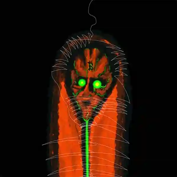 inscription e169731f70207387c524b1204f8c97bfccce2ba4d5d5e5ad1aa6018adc2b7482i36