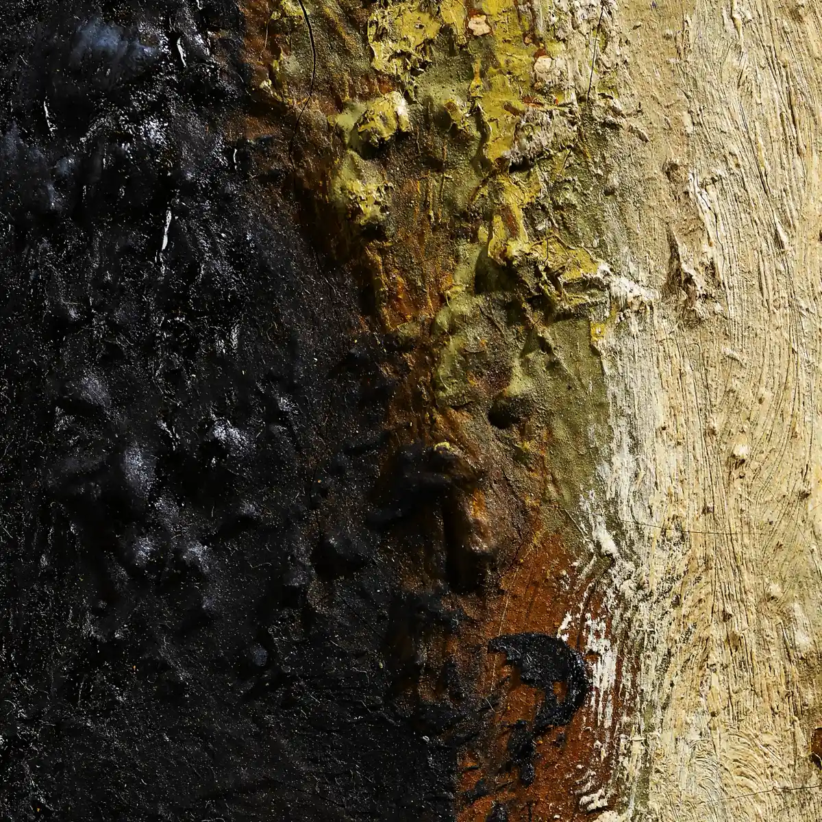 inscription e79ec570f6ec5d1ce89f8d68f44c0a7f4842cdd04ea4b2c0c602494778e1315ci0