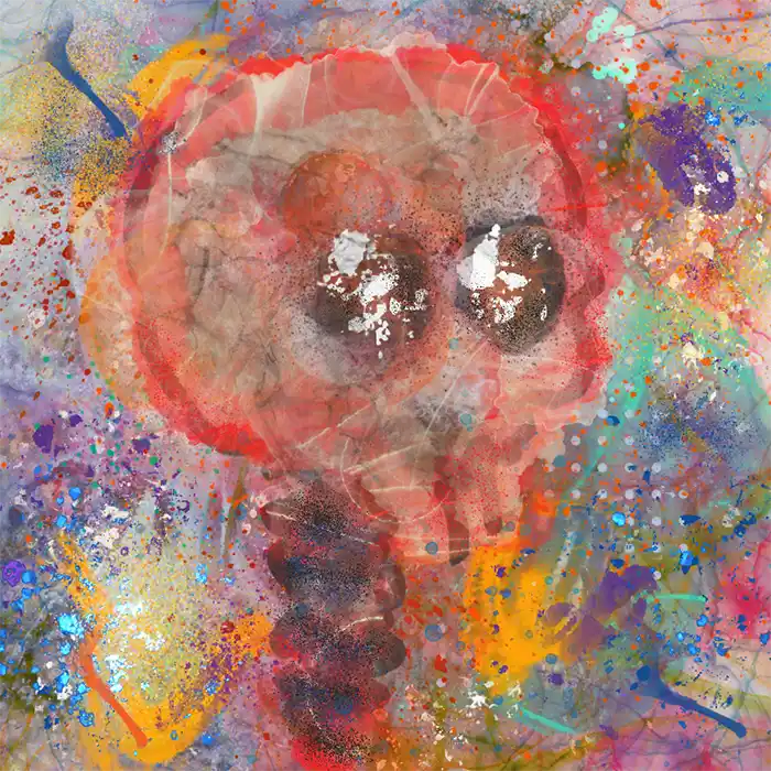 inscription e7cf6b568ae3352accfe7ddb76fbd1024df18d6024ed52536393e15521d279e2i28