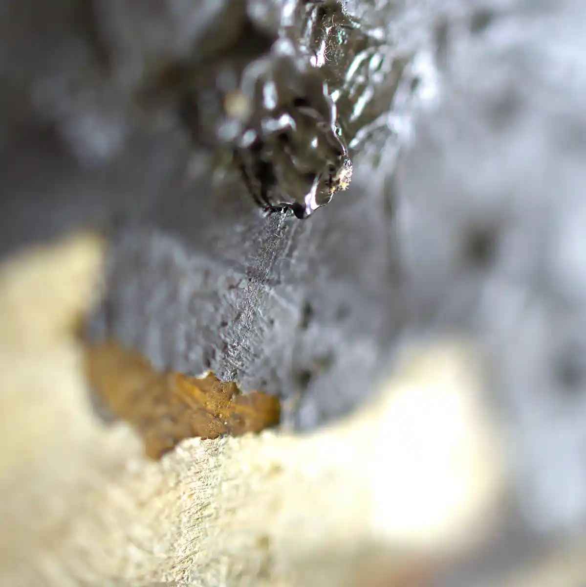 inscription ea2a813b77fae79d83ae94328f3637b6e6463b37c87b01ed02d708da615240e3i1