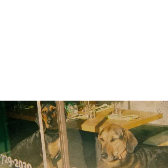 inscription eaf0a70d661bd4a1fc091a40dd2ad8190af85bb259bb8536d65688fabde01f53i7