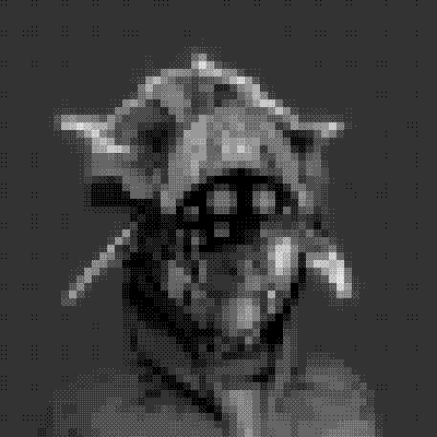 inscription f1e46445fd9631b962d87a14a78b5a31025fe20b1282efaf0a7ebad3f576b34ei29