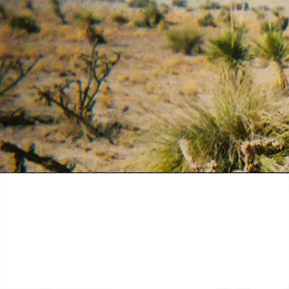 inscription ffe7ce38dc25ad289587ae7b04bfa4d0e4b65ec58227ed0a471b59b3e0828c9bi5